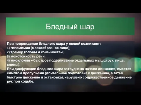 Бледный шар При повреждении бледного шара у людей возникают: 1) гипомимия