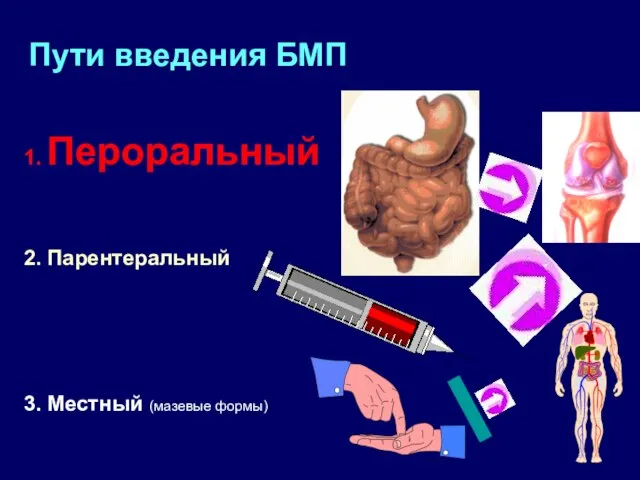 1. Пероральный 2. Парентеральный 3. Местный (мазевые формы) Пути введения БМП