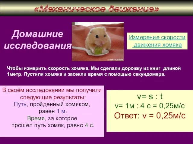 Домашние исследования Измерение скорости движения хомяка Чтобы измерить скорость хомяка. Мы