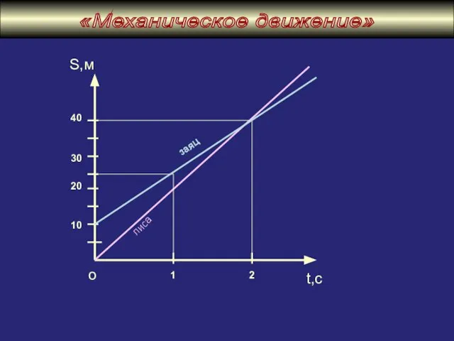 10 20 30 40 S,м 1 2 t,с лиса заяц о