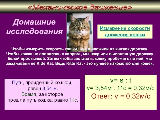 Домашние исследования Измерение скорости движения кошки Чтобы измерить скорость кошки, мы