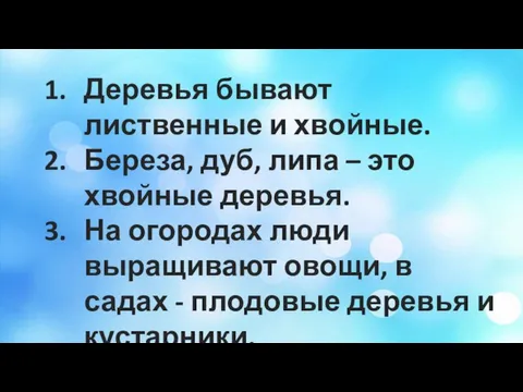 Деревья бывают лиственные и хвойные. Береза, дуб, липа – это хвойные