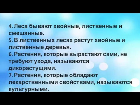 4. Леса бывают хвойные, лиственные и смешанные. 5. В лиственных лесах