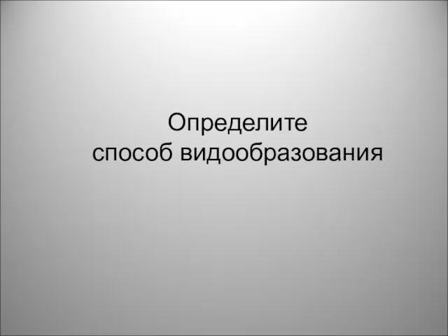 Определите способ видообразования