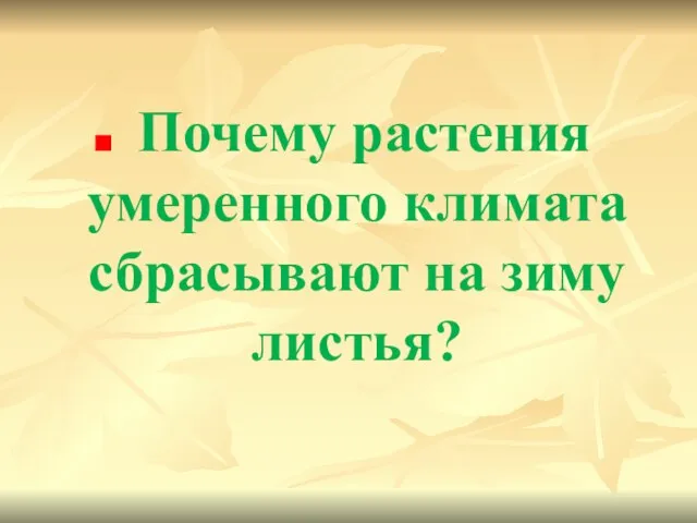 Почему растения умеренного климата сбрасывают на зиму листья?