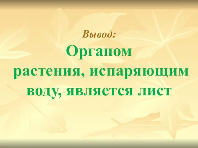 Вывод: Органом растения, испаряющим воду, является лист