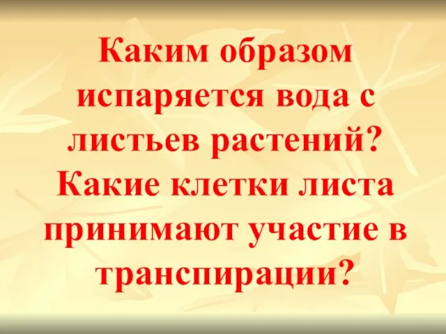 Каким образом испаряется вода с листьев растений? Какие клетки листа принимают участие в транспирации?