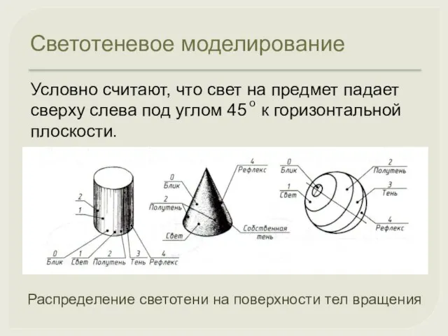 Светотеневое моделирование Условно считают, что свет на предмет падает сверху слева