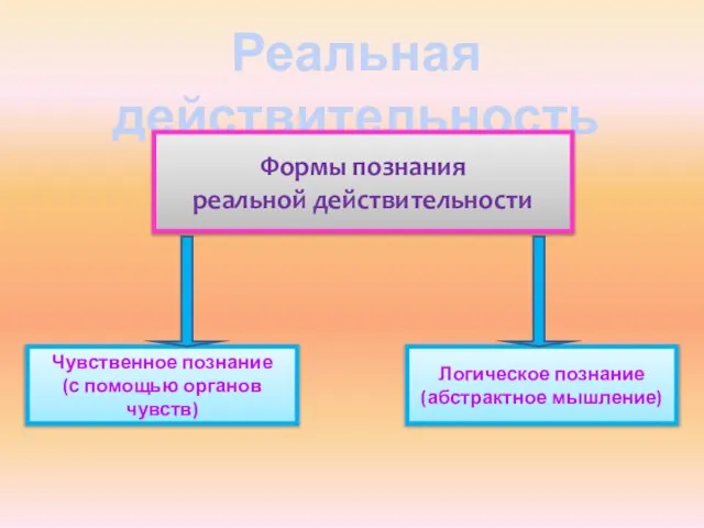 Реальная действительность Формы познания реальной действительности Чувственное познание (с помощью органов чувств) Логическое познание (абстрактное мышление)