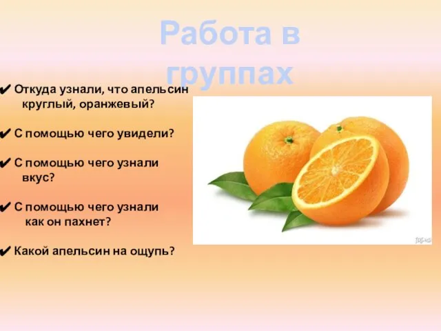 Работа в группах Откуда узнали, что апельсин круглый, оранжевый? С помощью