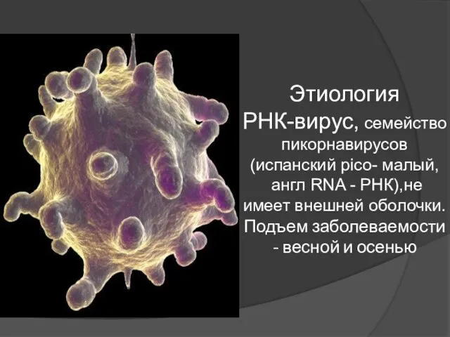 Этиология РНК-вирус, семейство пикорнавирусов (испанский pico- малый, англ RNA - РНК),не