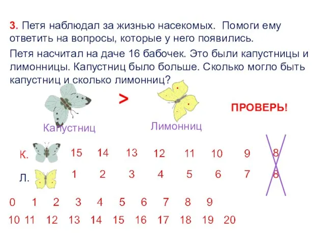 3. Петя наблюдал за жизнью насекомых. Помоги ему ответить на вопросы,