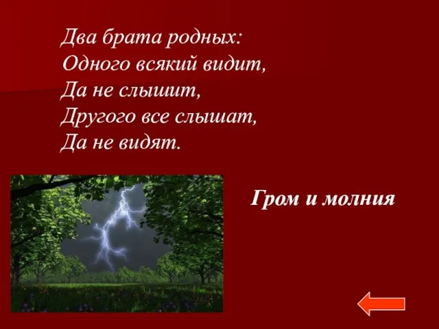 Два брата родных: Одного всякий видит, Да не слышит, Другого все