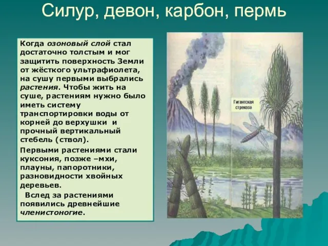 Силур, девон, карбон, пермь Когда озоновый слой стал достаточно толстым и