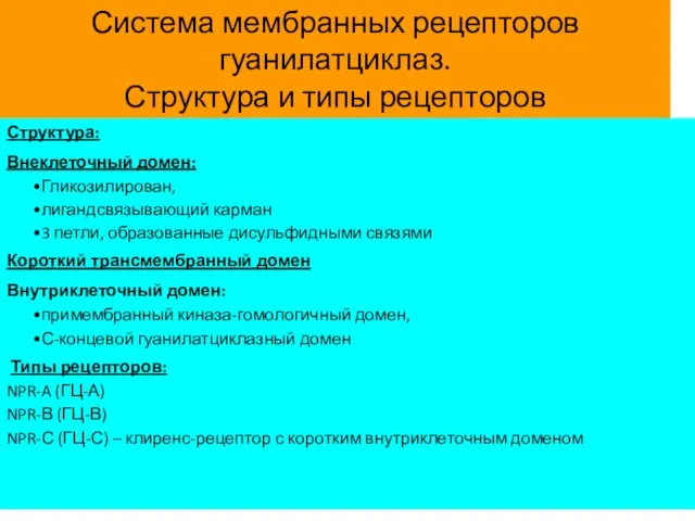 Система мембранных рецепторов гуанилатциклаз. Структура и типы рецепторов Структура: Внеклеточный домен: