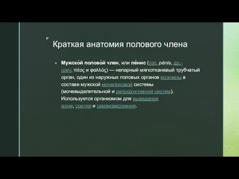 Краткая анатомия полового члена Мужско́й полово́й член, или пе́нис (лат. pénis,