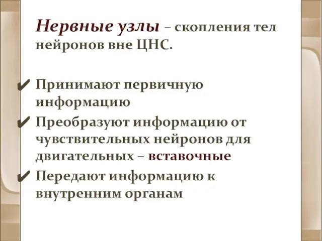 Нервные узлы – скопления тел нейронов вне ЦНС. Принимают первичную информацию