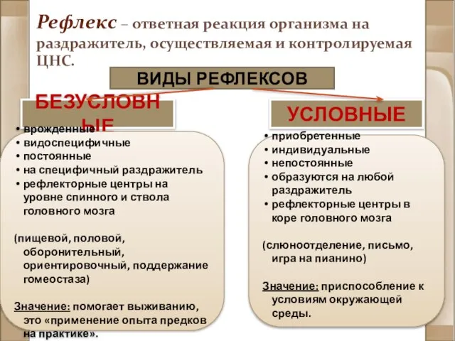 ВИДЫ РЕФЛЕКСОВ УСЛОВНЫЕ БЕЗУСЛОВНЫЕ врожденные видоспецифичные постоянные на специфичный раздражитель рефлекторные