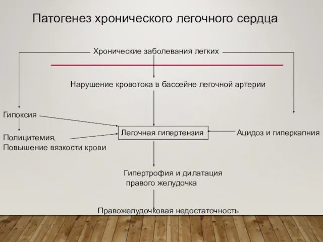 Легочная гипертензия Хронические заболевания легких Ацидоз и гиперкапния Нарушение кровотока в