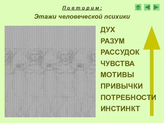 ДУХ РАЗУМ РАССУДОК ЧУВСТВА МОТИВЫ ПРИВЫЧКИ ПОТРЕБНОСТИ ИНСТИНКТ Этажи человеческой психики