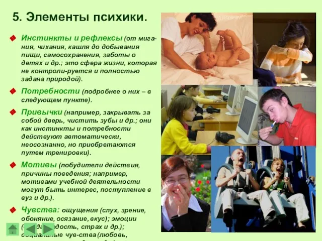 5. Элементы психики. Инстинкты и рефлексы (от мига-ния, чихания, кашля до