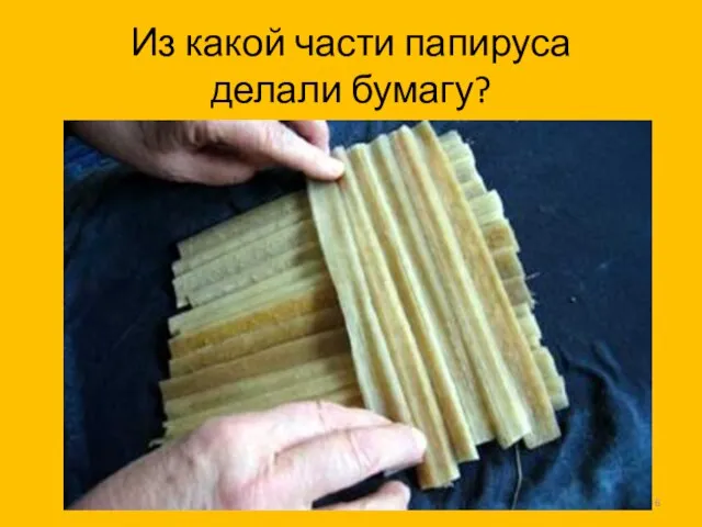 Из какой части папируса делали бумагу?