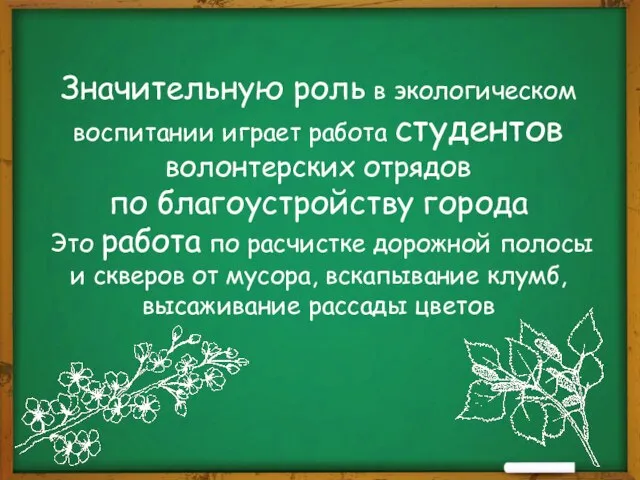 Значительную роль в экологическом воспитании играет работа студентов волонтерских отрядов по