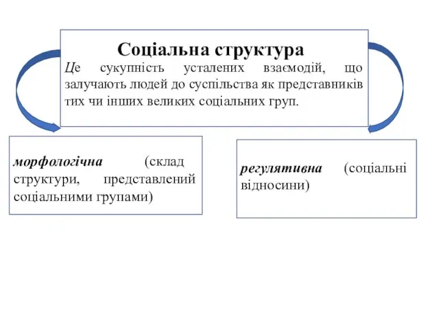 Соціальна структура морфологічна (склад структури, представлений соціальними групами) регулятивна (соціальні відносини)