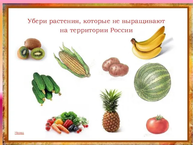 Убери растения, которые не выращивают на территории России Назад