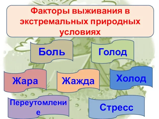 Факторы выживания в экстремальных природных условиях Боль Голод Жара Жажда Холод Переутомление Стресс