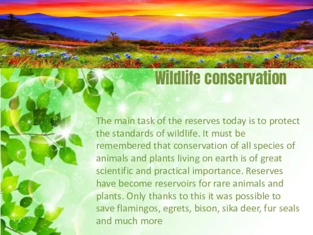 Wildlife conservation The main task of the reserves today is to