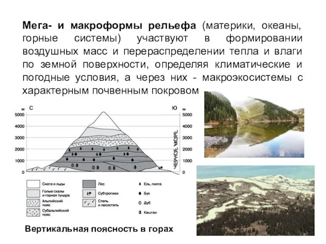 Мега- и макроформы рельефа (материки, океаны, горные системы) участвуют в формировании