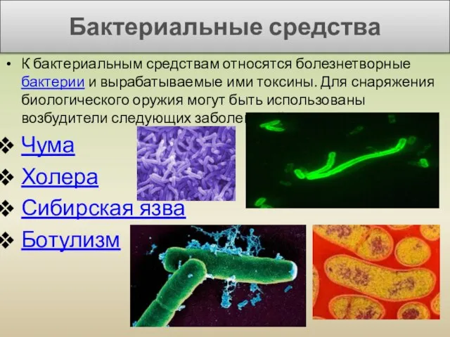 Бактериальные средства К бактериальным средствам относятся болезнетворные бактерии и вырабатываемые ими