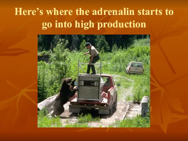 Here’s where the adrenalin starts to go into high production