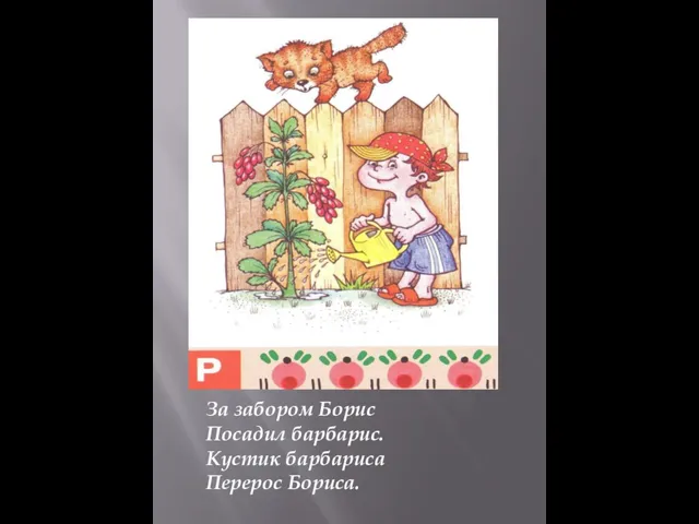 За забором Борис Посадил барбарис. Кустик барбариса Перерос Бориса.