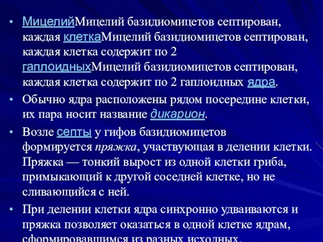 МицелийМицелий базидиомицетов септирован, каждая клеткаМицелий базидиомицетов септирован, каждая клетка содержит по