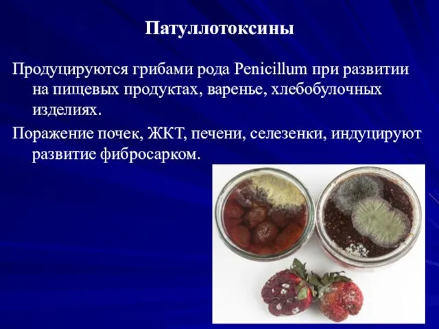 Патуллотоксины Продуцируются грибами рода Penicillum при развитии на пищевых продуктах, варенье,