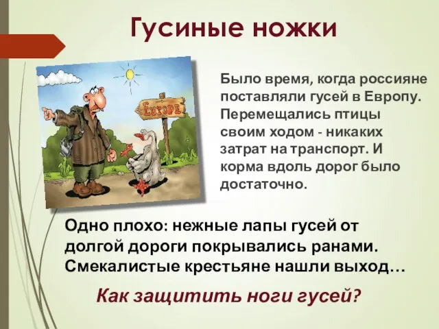 Было время, когда россияне поставляли гусей в Европу. Перемещались птицы своим