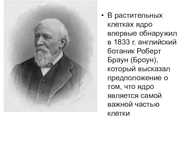 В растительных клетках ядро впервые обнаружил в 1833 г. английский ботаник