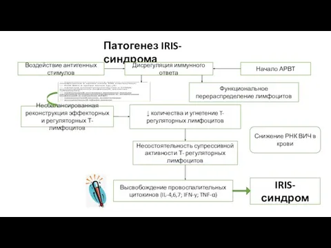 Патогенез IRIS-синдрома Воздействие антигенных стимулов Дисрегуляция иммунного ответа Начало АРВТ Функциональное