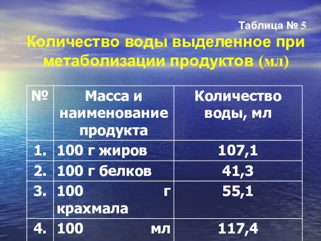 Таблица № 5 Количество воды выделенное при метаболизации продуктов (мл)