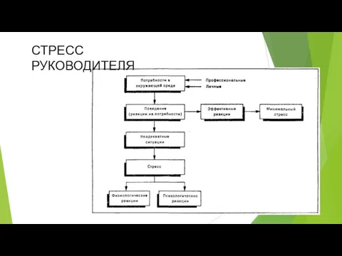 СТРЕСС РУКОВОДИТЕЛЯ