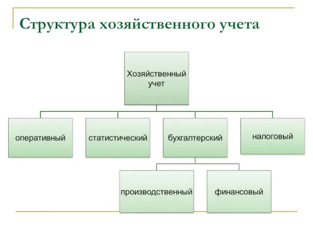 Структура хозяйственного учета