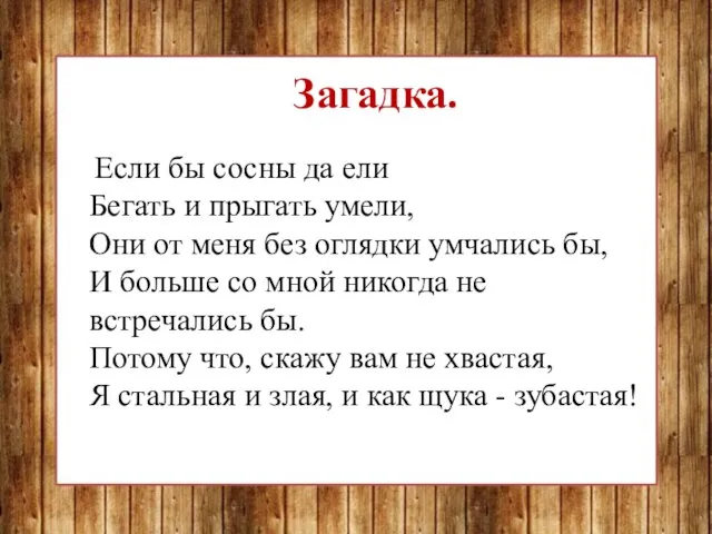 Загадка. Если бы сосны да ели Бегать и прыгать умели, Они