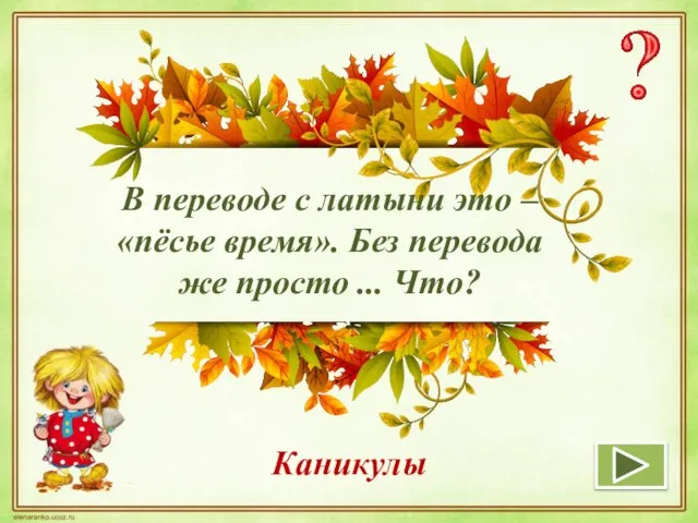 В переводе с латыни это – «пёсье время». Без перевода же просто ... Что? Каникулы