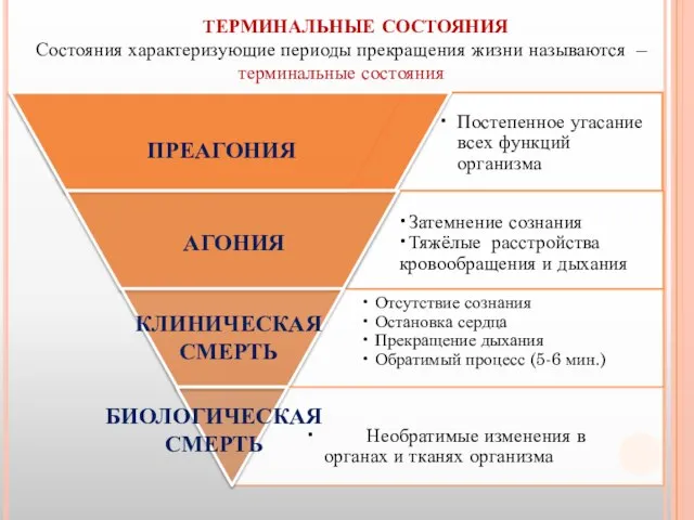 ТЕРМИНАЛЬНЫЕ СОСТОЯНИЯ ПРЕАГОНИЯ Состояния характеризующие периоды прекращения жизни называются – терминальные