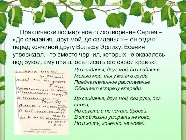 Практически посмертное стихотворение Сергея – «До свидания, друг мой, до свиданья»