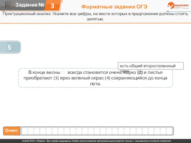 Форматные задания ОГЭ Пунктуационный анализ. Укажите все цифры, на месте которых