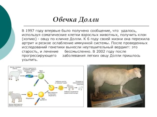 В 1997 году впервые было получено сообщение, что удалось, используя соматические