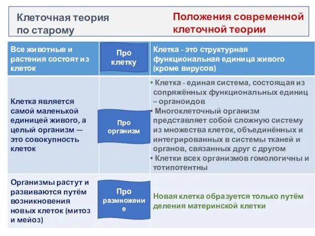 Клеточная теория по старому Положения современной клеточной теории Про клетку Про организм Про размножение